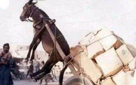 火影忍者同人大全