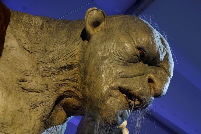 在线观看免费视频污网站 线观你以为是看免免费大餐