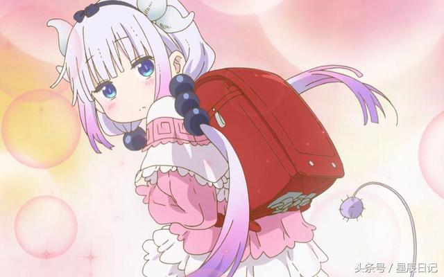 高山百合 高山百合纯净的高山百合花色