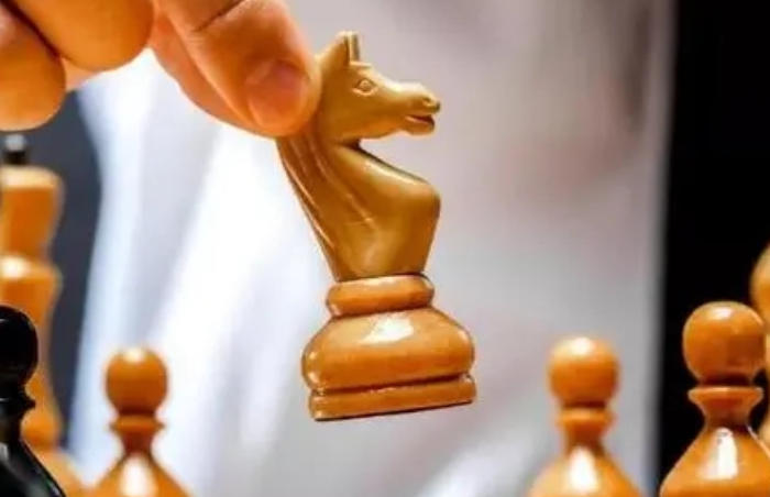 老司机官方网站 老司娱乐性和泛知识内容较少