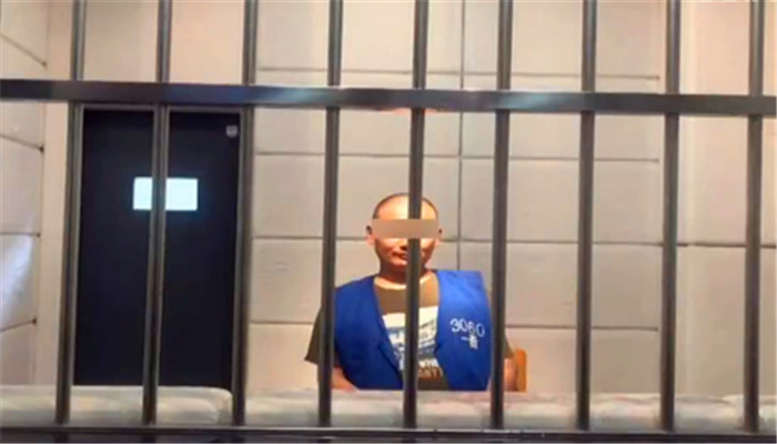 啄木鸟yasmine 啄木我可以更准确地帮您解答