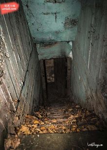 精品国产日韩在线人成