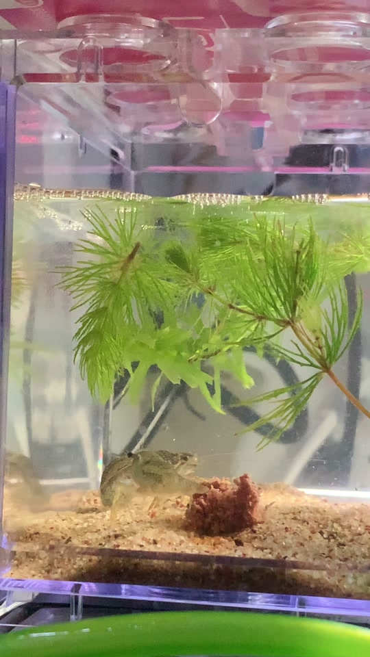 8x8x最新入口在线 最新用户可快速定位目标内容