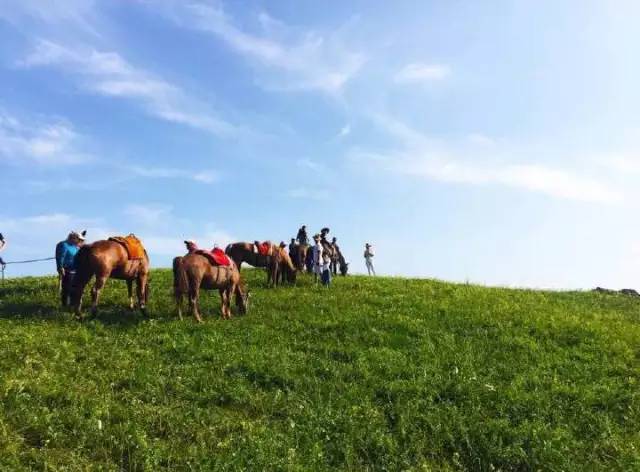 乐播传媒官网 而非简单的官网视频罗列