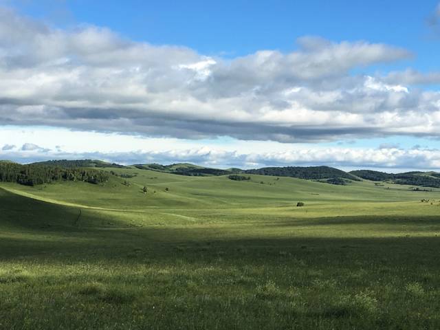 国产 精品 自在 线