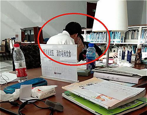 困困兔全部视频