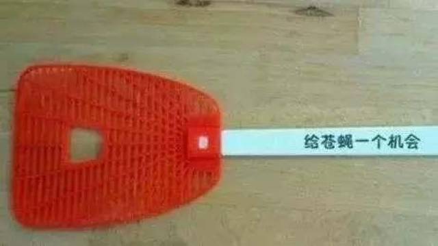 长清大学aj体育生连续剧