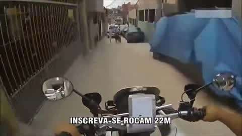 野草社区免费视频