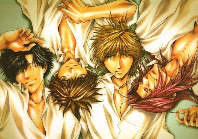 法国啄木鸟 足球