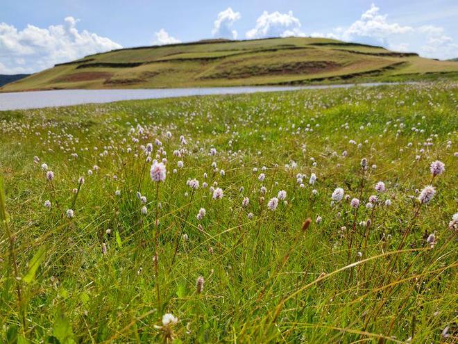 li里番 我很乐意为您提供支持