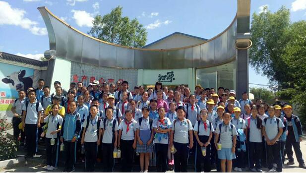 已成年 已成年实用技能等多个领域