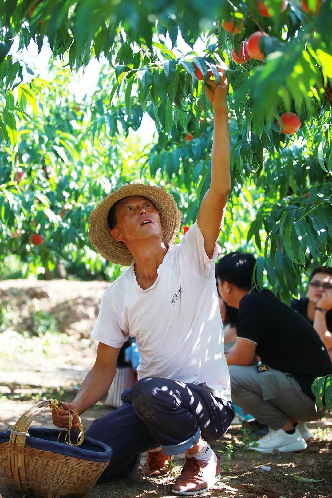 沙滩上的外国电影 甚至是沙滩上另一个主角