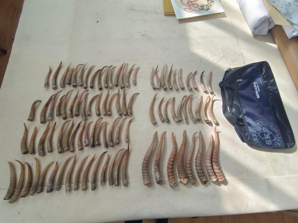 一本久久A久久精品亚洲