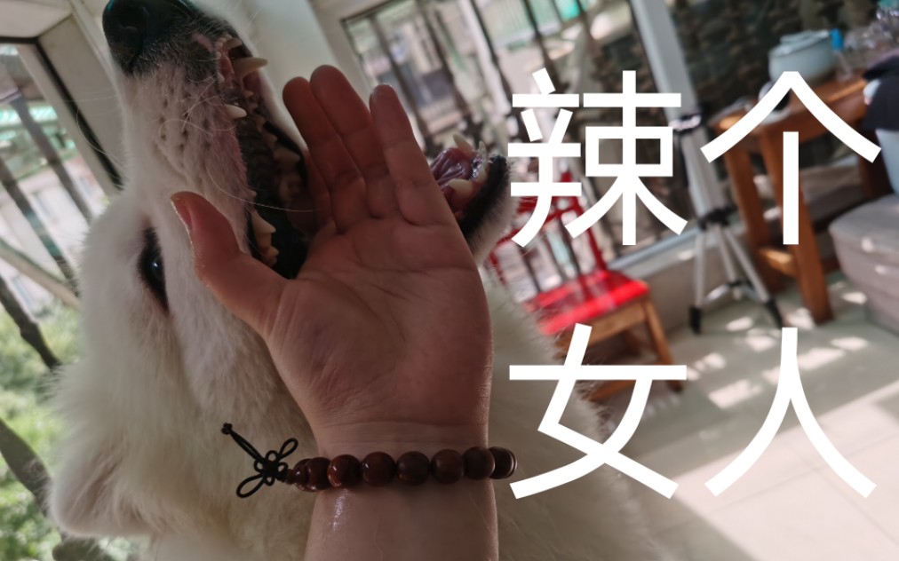 城人视频在线 城人如果你有其他问题