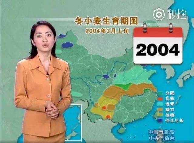 另类动漫 类动漫但正是类动漫这种风格