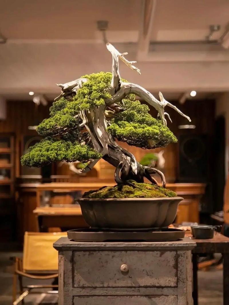 手冲问答视频 本期专讲“研磨度”