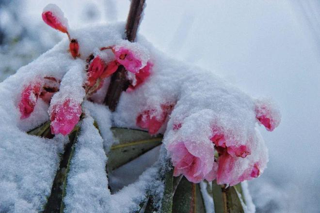 黑料不打烊往期内容
