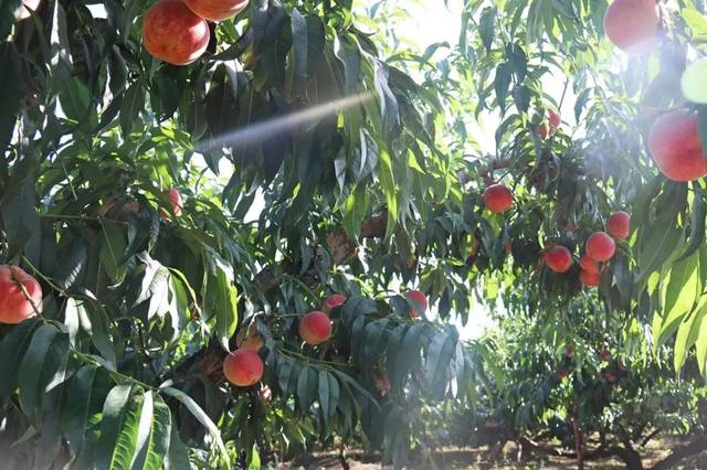 3d同人普合花子 电影和同人创作的灵感