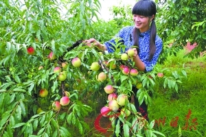 鲁人人人鲁人人鲁精品 